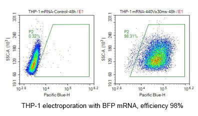 RNP mRNA siRNA vs Plasmid插图1