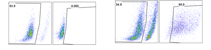 Mouse lymph node Cultured T cell插图