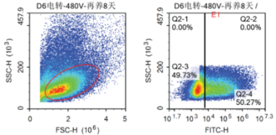 Human Cultured NK cells插图1