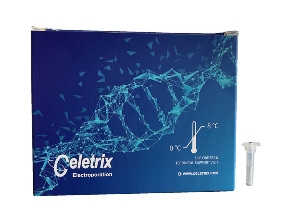 Product packaging of the Celetrix bacterial electroporation kit shown next to a specialized electroporation tube. The kits are optimized for high-efficiency transfection and excellent cell viability in bacteria, available in 20ul, 100ul, and 600ul sizes with 48 tubes per kit.