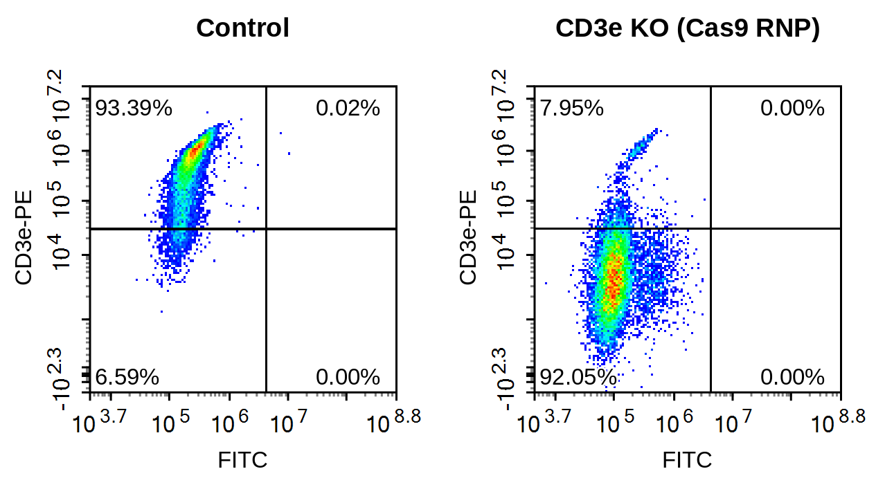Celetrix electroporation of Cas9 RNP knocks out CD3e in Jurkat cells: flow cytometry shows 92% CD3e-negative cells