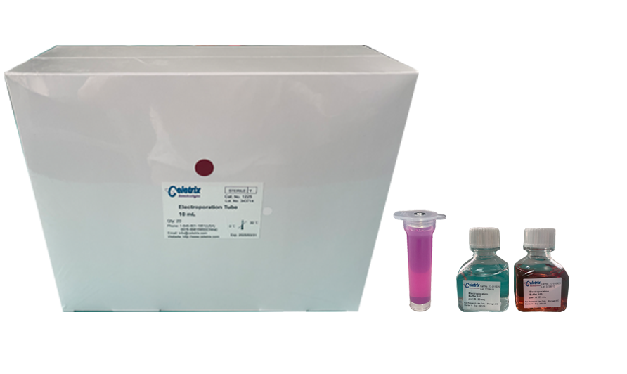 Product packaging of the Celetrix large-scale transient expression kit (5ml and 10ml), engineered for high-volume antibody production and recombinant protein expression in suspension cells like CHO and HEK293. Supplied with specialized large tubes and a single universal buffer to maximize protein yield and post-transfection cell viability.