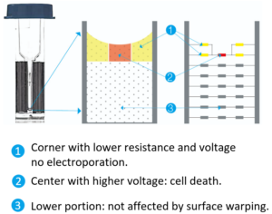 Equivalent circuit diagram of electroporation cuvette demonstrating how the curved liquid meniscus warps voltage distribution, creating low-voltage zones at corners and high-voltage zones at the center.